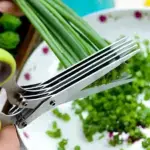 X-Chef 5-Blade Herb Shears: Time-Saving Precision for Effortless Herb Prep