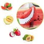 Effortless Melon Slicer & Peeler: Perfect Fruit Cutter for Smooth, Clean Cuts - Image 17