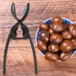 Multi-Functional 2-in-1 Chestnut Cutter - Image 5