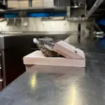 Safe & Easy Oyster Shucking Clamp - Image 7